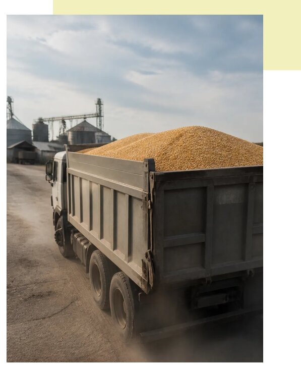 Перевозка сельхозпродукции навалом в Сланцы по цене от 3100 р. | Агросервис-Слы
